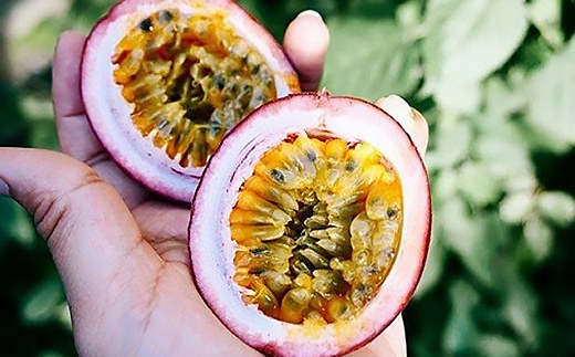 完熟パッションフルーツで作ったリリコイバター2個セット