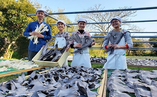 【エコ包装】本格派「フカヒレ姿煮」尾びれ2枚入(220g×2枚)　尾びれ11-12cm【配送不可地域：離島】