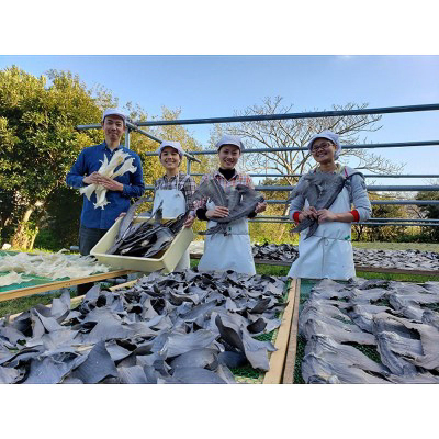 【エコ包装】本格派「フカヒレ姿煮」大尾びれ2枚入(330g×2枚)尾びれ14-15cm【配送不可地域：離島】