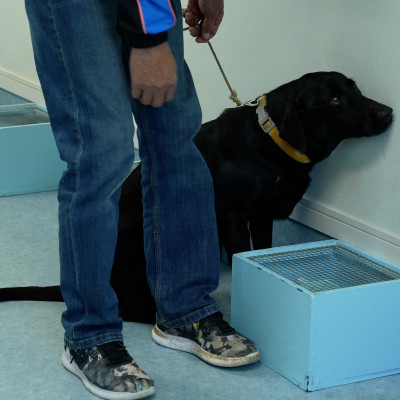 がん探知犬サービス専用キット『ローズ』