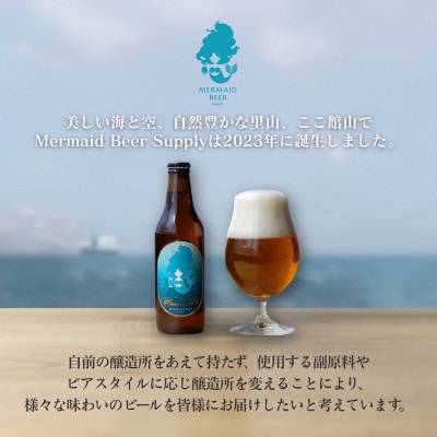 館山ブロンドエール 12本セット【配送不可地域：離島】