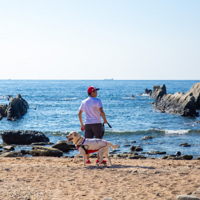 【宿泊3000円クーポン券】 DOG DEPT RESORT  館山犬石/安房白浜 共通チケット