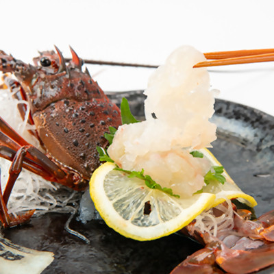 【金曜日発送】漁師直送!千葉県館山産 天然『活』伊勢海老　2kg(サイズおまかせ)【配送不可地域：離島・北海道・沖縄県・中国・四国・九州】
