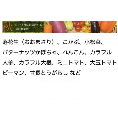 【毎月定期便】【下旬発送】こだわりの旬野菜BOX「リエビン」季節の野菜セット全6回【配送不可地域：離島・沖縄県】