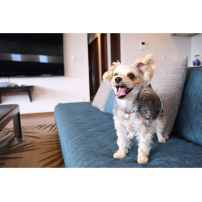 【オーシャンリゾート館山】BBQハウス2名様宿泊券 11月～6月の平日・日曜・祝日限定