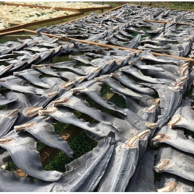 【エコ包装】「フカヒレ姿煮」大尾びれ2枚入り(530g×2枚)　尾びれ重さ約201-240g【配送不可地域：離島】