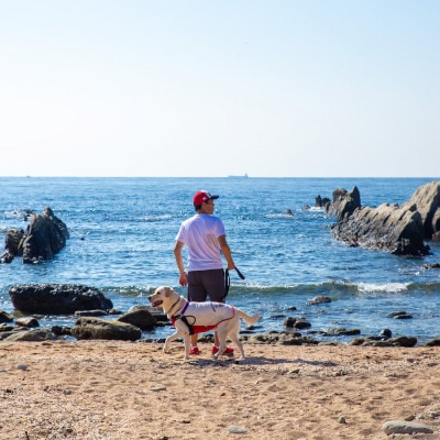 【宿泊6000円クーポン券】 DOG DEPT RESORT 館山犬石/安房白浜 共通チケット