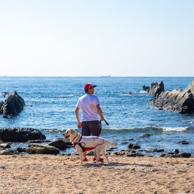 【宿泊9000円クーポン券】 DOG DEPT RESORT 館山犬石/安房白浜 共通チケット