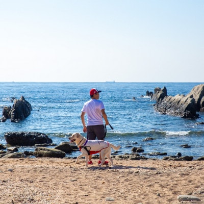 【宿泊12000円クーポン券】 DOG DEPT RESORT 館山犬石/安房白浜 共通チケット