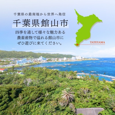 千葉県産こしひかり(精米)10kg(5kg×2袋)
