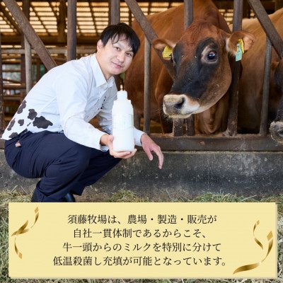 シングルミルク900ml 2本入【配送不可地域：離島】