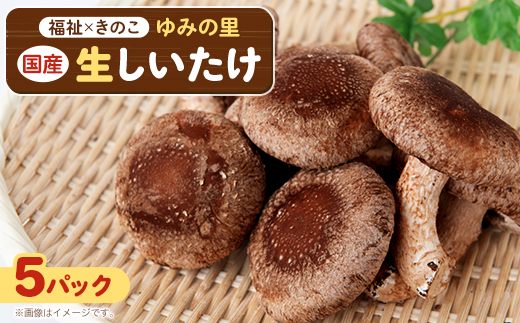 【農福連携】千葉県館山産 生しいたけ110g×5パック 就労継続支援A/B型併用事業所「ゆみの里」【配送不可地域：離島・沖縄県】