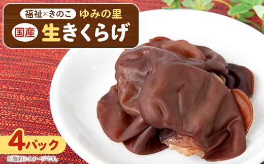 【農福連携】千葉県館山産 生きくらげ100g×4パック 就労継続支援A/B型併用事業所「ゆみの里」【配送不可地域：離島】