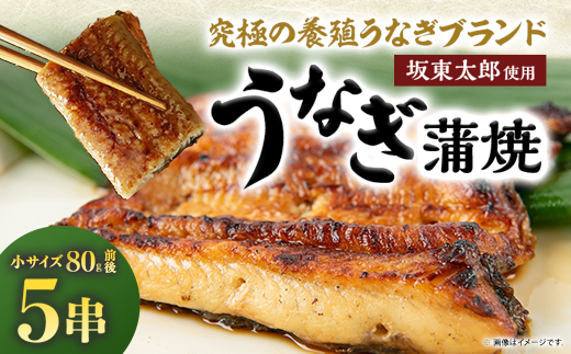 天然 に近づけた究極の養殖 鰻「坂東太郎 使用」 うなぎ 蒲焼 小サイズ 80g前後×5串【配送不可地域：離島】