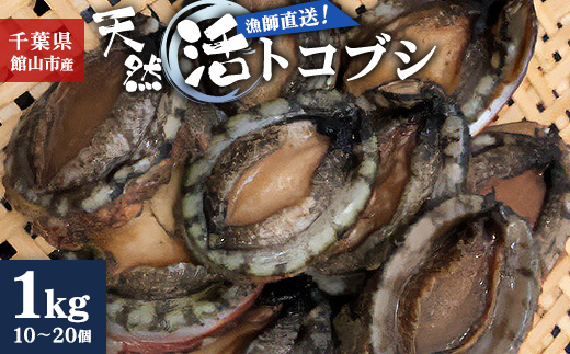 【先行予約】【金曜日発送】漁師直送!天然活トコブシ1kg(10～20個)【配送不可地域：離島・北海道・沖縄県・東北・中国・四国・九州】
