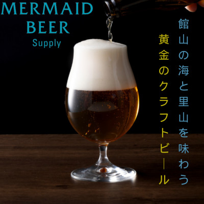 館山ブロンドエール 6本セット【配送不可地域：離島】