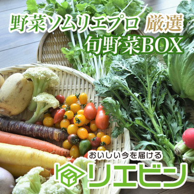 【毎月定期便】【中旬発送】こだわりの旬野菜BOX「リエビン」季節の野菜セット全6回【配送不可地域：離島・沖縄県】
