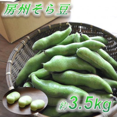 【数量限定】安心安全なサヤ付き房州そらまめ 約3.5kg (4月下旬頃～5月下旬頃発送予定)【配送不可地域：離島・北海道・沖縄県・東北・中国・四国・九州】