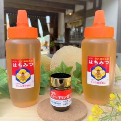 ひふみ養蜂園 はちみつ(500g×2)・ローヤルゼリー(30g)【配送不可地域：離島】