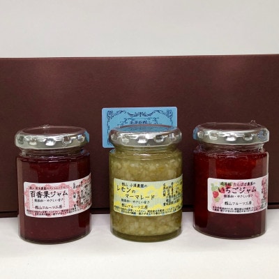 南房総フルーツジャム3本セット