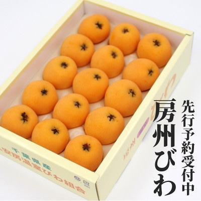 【先行受付】4月下旬より順次発送　温室栽培「房州びわ」 L・2Lサイズ　化粧箱入り【配送不可地域：離島・沖縄県】
