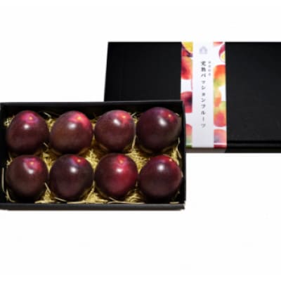 【先行受付】秀品パッションフルーツ 「80g前後の大玉」8個入/2026年8月上旬～9月中旬発送【配送不可地域：離島】