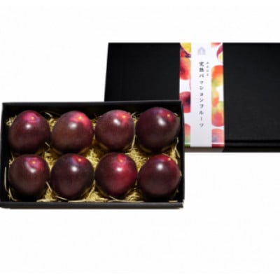 【先行受付】秀品パッションフルーツ 中玉8個入/2026年8月上旬～9月中旬発送【配送不可地域：離島】