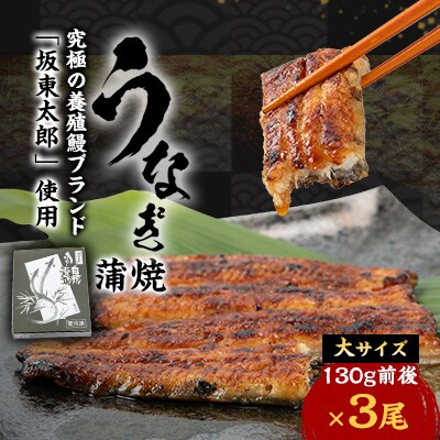 天然 に近づけた究極の養殖 鰻「坂東太郎 使用」 うなぎ 蒲焼 大サイズ 130g前後×3尾【配送不可地域：離島】
