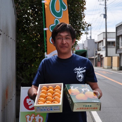 【先行受付】5月下旬より順次発送　露地栽培「房州びわ」 Lサイズ15粒　化粧箱入り【配送不可地域：離島】