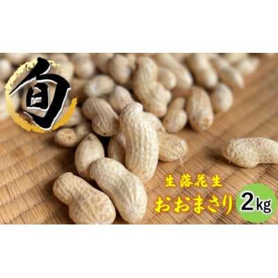 【 数量限定 】【 期間限定 】農家イチオシ!千葉県館山産 生落花生おおまさり 2kg【配送不可地域：離島・沖縄県】