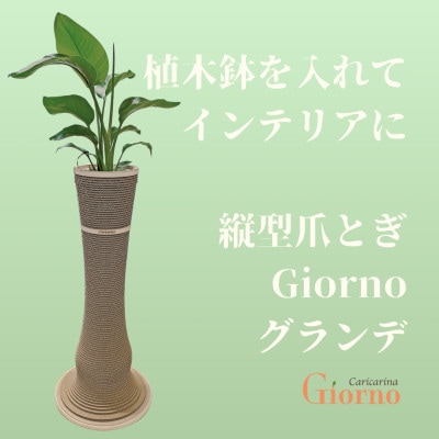 猫のおしゃれ爪とぎ「カリカリーナGiorno」 グランデ6号鉢用