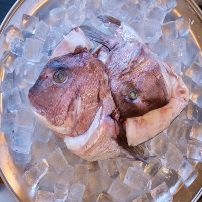 真鯛かぶと ハーフカット 2尾分×2パック 計2kg【配送不可地域：離島】