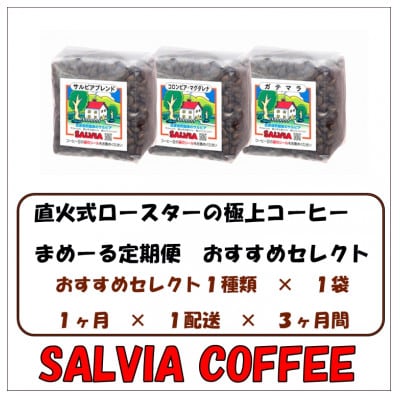 【毎月定期便】まめーる店主おすすめセレクト200g【豆】全3回