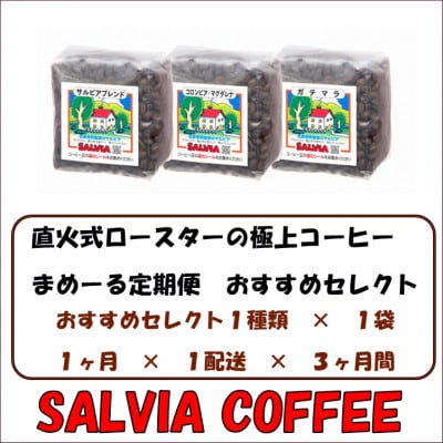 【毎月定期便】まめーる店主おすすめセレクト200g【粉】全3回