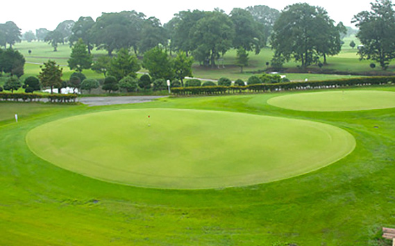 野田市パブリックゴルフ場ひばりコース平日利用券