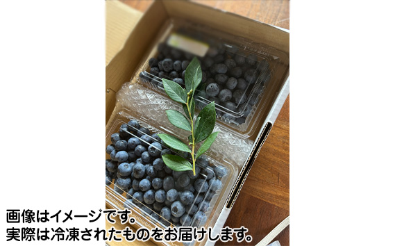 野田市産こだわり完熟冷凍ブルーベリーセット　200g×6