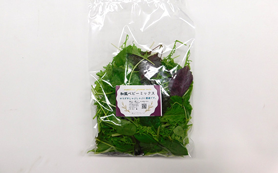 【毎月定期便3回】朝採りお日様リーフ5種セット