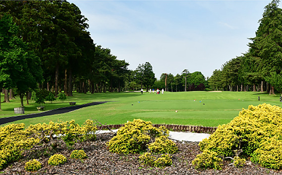 【ゴルフ場会員様限定】千葉カントリークラブ施設利用券30000円（利用券3000円×10枚）野田・川間・梅郷コース共通