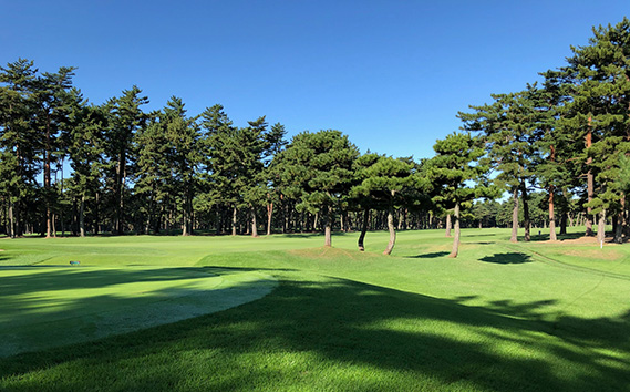 紫カントリークラブ　あやめコース4名様平日プレー券（食事付）