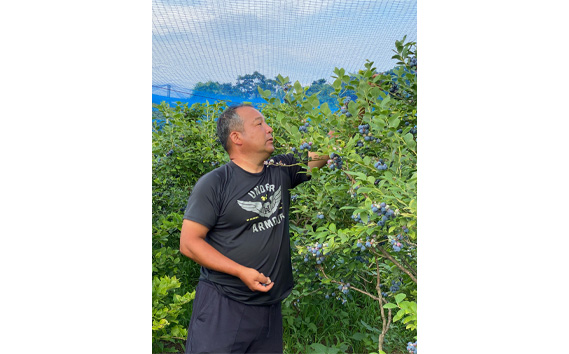 野田市産こだわり完熟冷凍ブルーベリー　400g