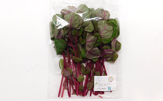 【毎月定期便6回】朝採りお日様リーフ5種セット