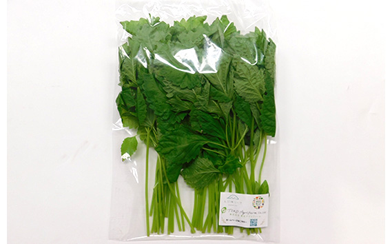 【毎月定期便3回】朝採りお日様リーフ5種セット