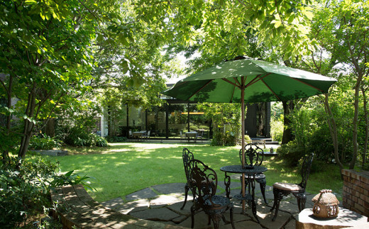 希少種コーヒー豆堪能セット（細挽き）