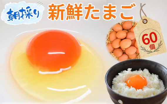 【60個】美味しい産みたて朝採り新鮮たまご（手集卵）ミネラルエッグ