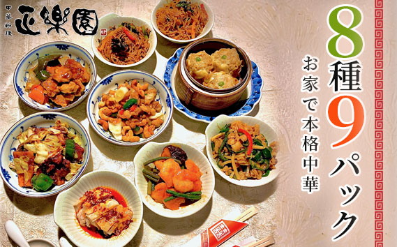 【正楽園】お家で本格中華 彩り中華三昧 満腹セット 8種9パック