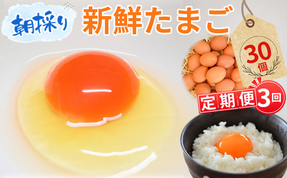 【毎月定期便3回】美味しい産みたて朝採り新鮮たまご（手集卵）ミネラルエッグ30個×3回