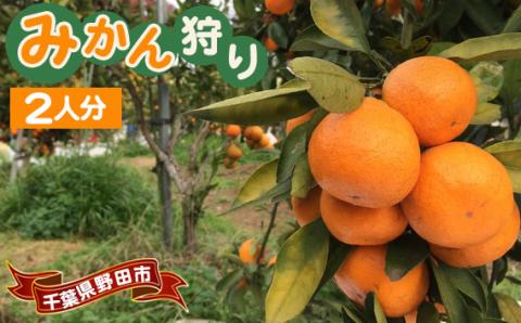 千葉県野田市産みかんの収穫体験（2人分）