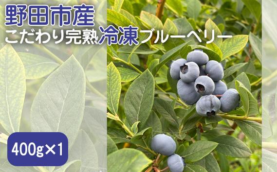 野田市産こだわり完熟冷凍ブルーベリー　400g