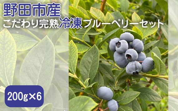 野田市産こだわり完熟冷凍ブルーベリーセット　200g×6