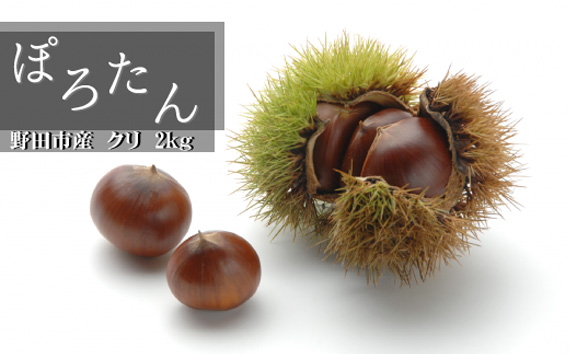 千葉県野田市産　栗（ぽろたん） 2kg